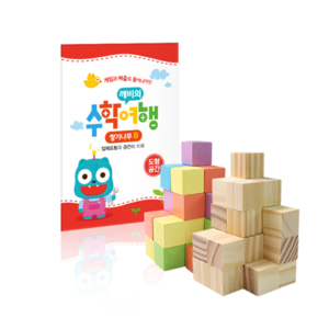 [방과 후 세트] 쌓기나무 B