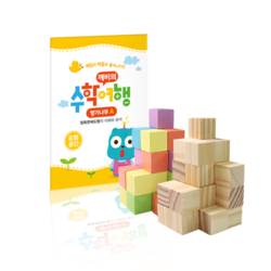 [방과 후 세트] 쌓기나무 A